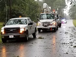 Storm damage fallen trees